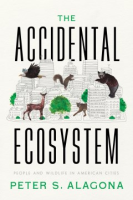 The_accidental_ecosystem